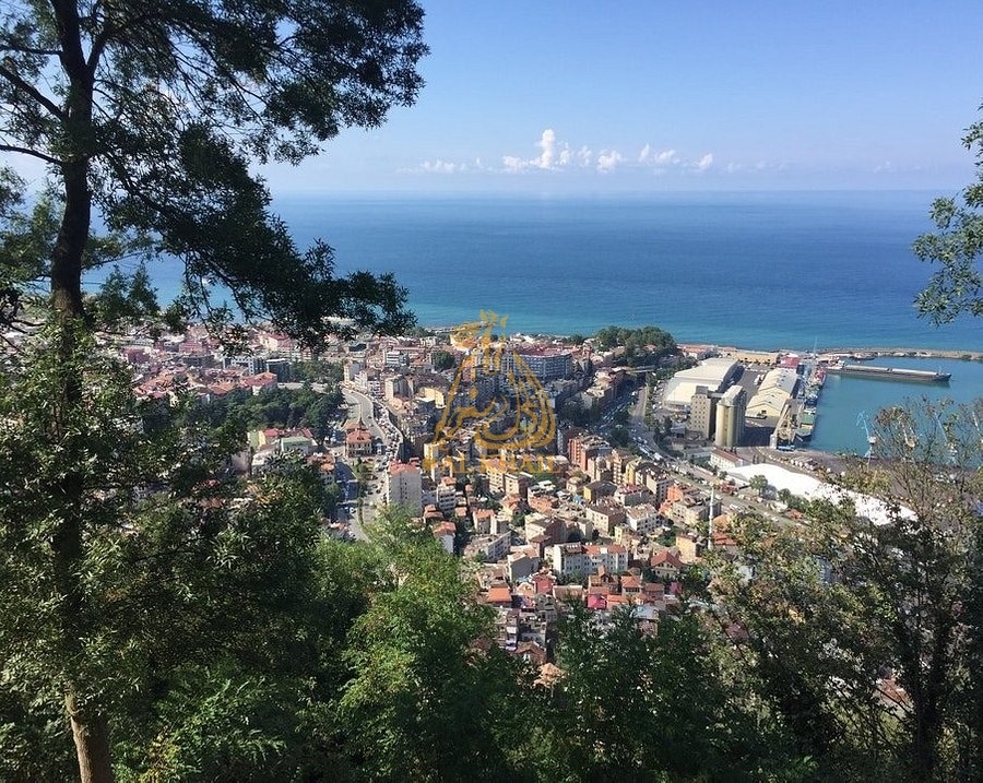 Trabzon Ticaret Tarihi ​