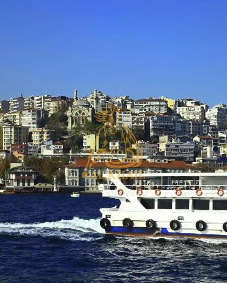 Преимущества покупки азиатских вилл в Стамбуле