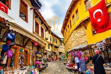 Vorteile des Kaufs einer Villa in Bursa​