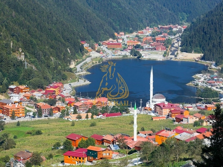 Preisspanne von Immobilien zum Verkauf in Trabzon Türkei​