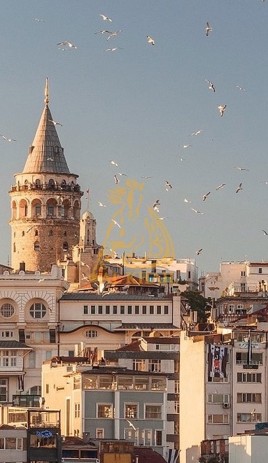 Avrupa İstanbul'da satılık ev almanın avantajları