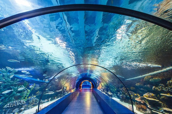 antalya aquarium