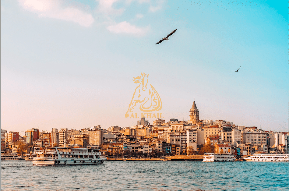伊斯坦布尔最适合居住的 20 个地方