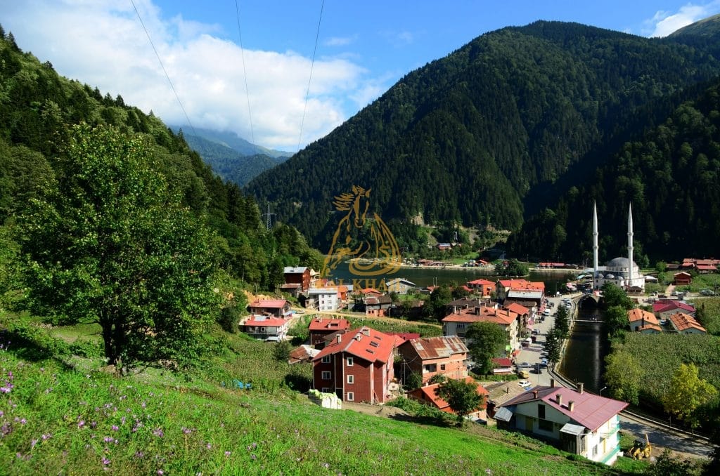 Vor- und Nachteile des Immobilienkaufs und der Investition in Trabzon 