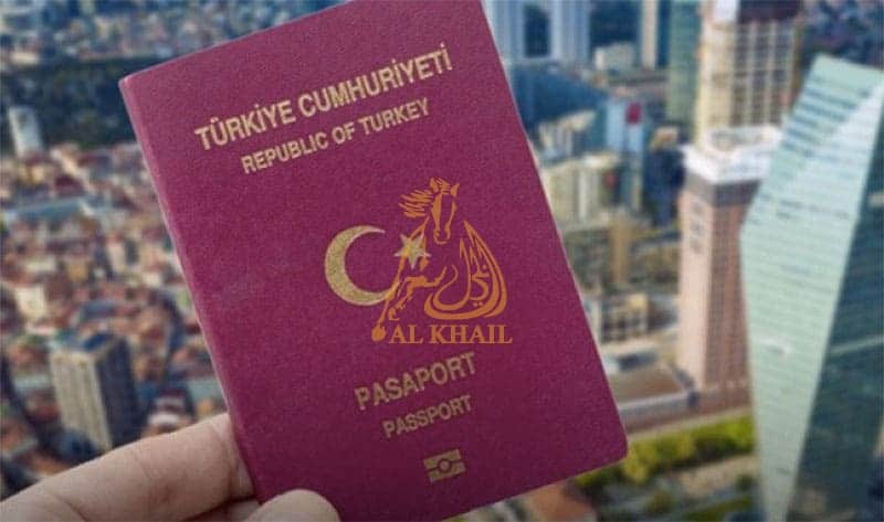 How to become a Turkish citizen as a Pakistani